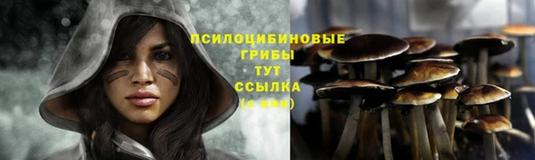 mdpv Абинск