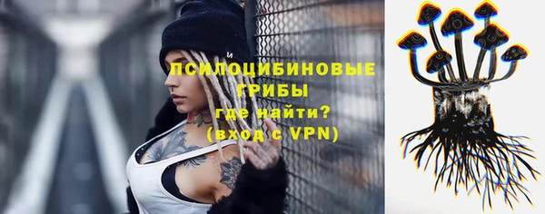 тгк Абаза