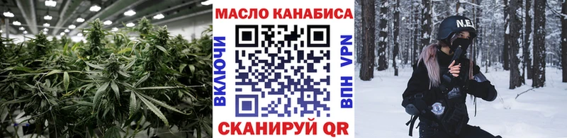 цена   Ковров  ТГК концентрат 